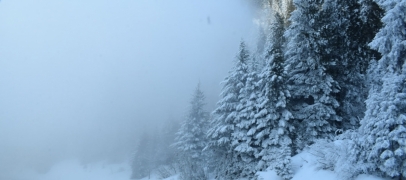 Jusqu’à 7 cm de neige attendus dans la Loire : les secteurs concernés