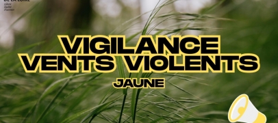 Vent et orages : la Loire plac&eacute;e en vigilance jaune ce mardi soir