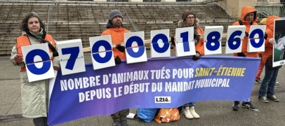 Municipales &agrave; Saint-&Eacute;tienne : L214 interpelle candidats et habitants sur la souffrance animale