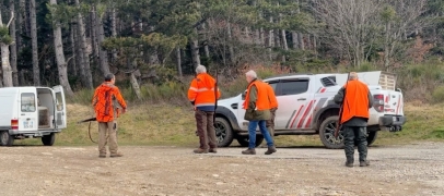 Retour du loup dans le Pilat : chasseurs et &eacute;leveurs dans la crainte