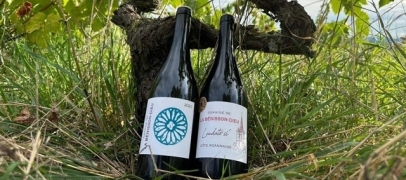 Une nouvelle fois, le vin d&rsquo;Ambierle sur la table du pape