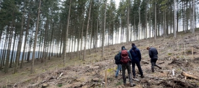 Dans le Pilat, le Sylvotroph&eacute;e met en lumi&egrave;re la gestion durable des for&ecirc;ts