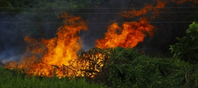 Incendie dans la vall&eacute;e du Cotatay