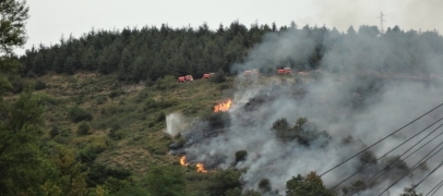 Feu de végétation dans le Pilat : 7 000 m2 partis en fumée