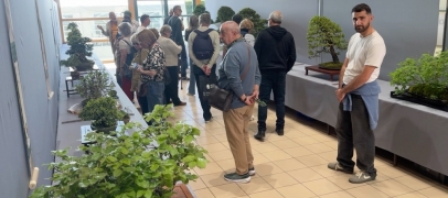 Montrond-les-Bains : le Congr&egrave;s National du Bonsa&iuml; met la Loire &agrave; l&rsquo;heure japonaise
