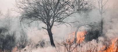 Pilat: 90 pompiers mobilis&eacute;s pour simuler un incendie g&eacute;ant