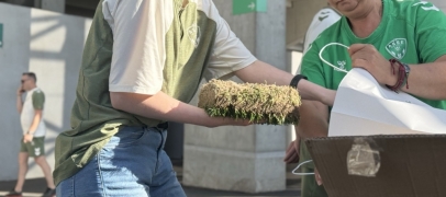 Les supporters ach&egrave;tent un morceau de pelouse de Geoffroy-Guichard
