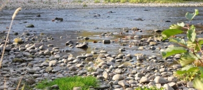 S&eacute;cheresse : les Lig&eacute;riens appel&eacute;s &agrave; &eacute;conomiser l&rsquo;eau