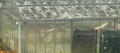 Tornade dans la Loire : des cagnottes pour des agriculteurs qui ont "quasiment tout perdu"