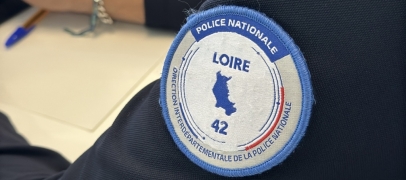 Roche-la-Moli&egrave;re : il tente d'&eacute;chapper &agrave; la police en se cachant dans un buisson