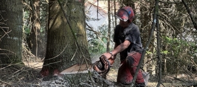 S&eacute;cheresse et incendies : les b&ucirc;cherons et la for&ecirc;t doivent s'adapter