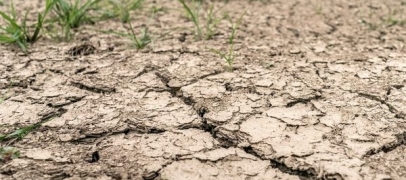 S&eacute;cheresse dans la Loire : de nouvelles zones passent en crise, les restrictions se durcissent