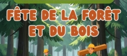 Le Bessat : la for&ecirc;t et le bois &agrave; l&rsquo;honneur au Col de la Croix de Chaubouret