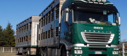 Une b&eacute;taill&egrave;re se renverse avec 39 bovins &agrave; bord, la RD 482 coup&eacute;e &agrave; Vougy