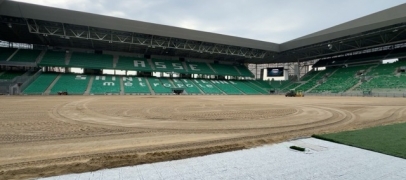 Geoffroy-Guichard : une nouvelle pelouse plus &eacute;conome en eau
