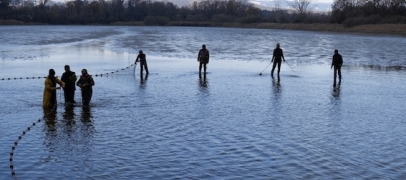 "Les &eacute;tangs de la Loire, miroirs d&rsquo;histoire et de biodiversit&eacute;" sur TL7