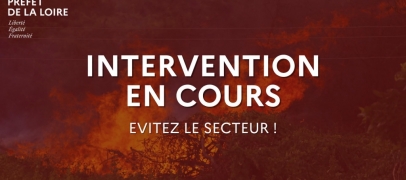 Loire : un d&eacute;part de feu signal&eacute; au bord de la D62