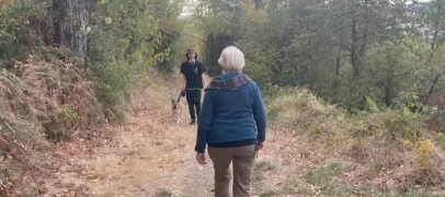 Des parcours p&eacute;destre insolites au coeur de Saint-Etienne