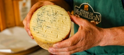 S&eacute;cheresse : la fili&egrave;re Fourme de Montbrison contrainte d'importer son fourrage