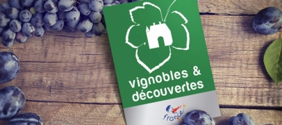 Vignobles en Sc&egrave;ne : d&eacute;gustations, concerts, randonn&eacute;es&hellip; que faire dans la Loire du 16 au 18 octobre ?