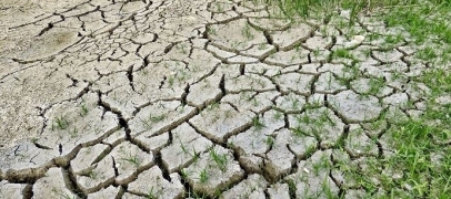 La sécheresse s’aggrave dans la Loire